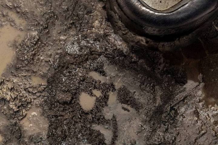 حذاء سليماني أشرف من رأس قاتله!