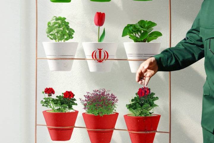 انقلاب زنده است