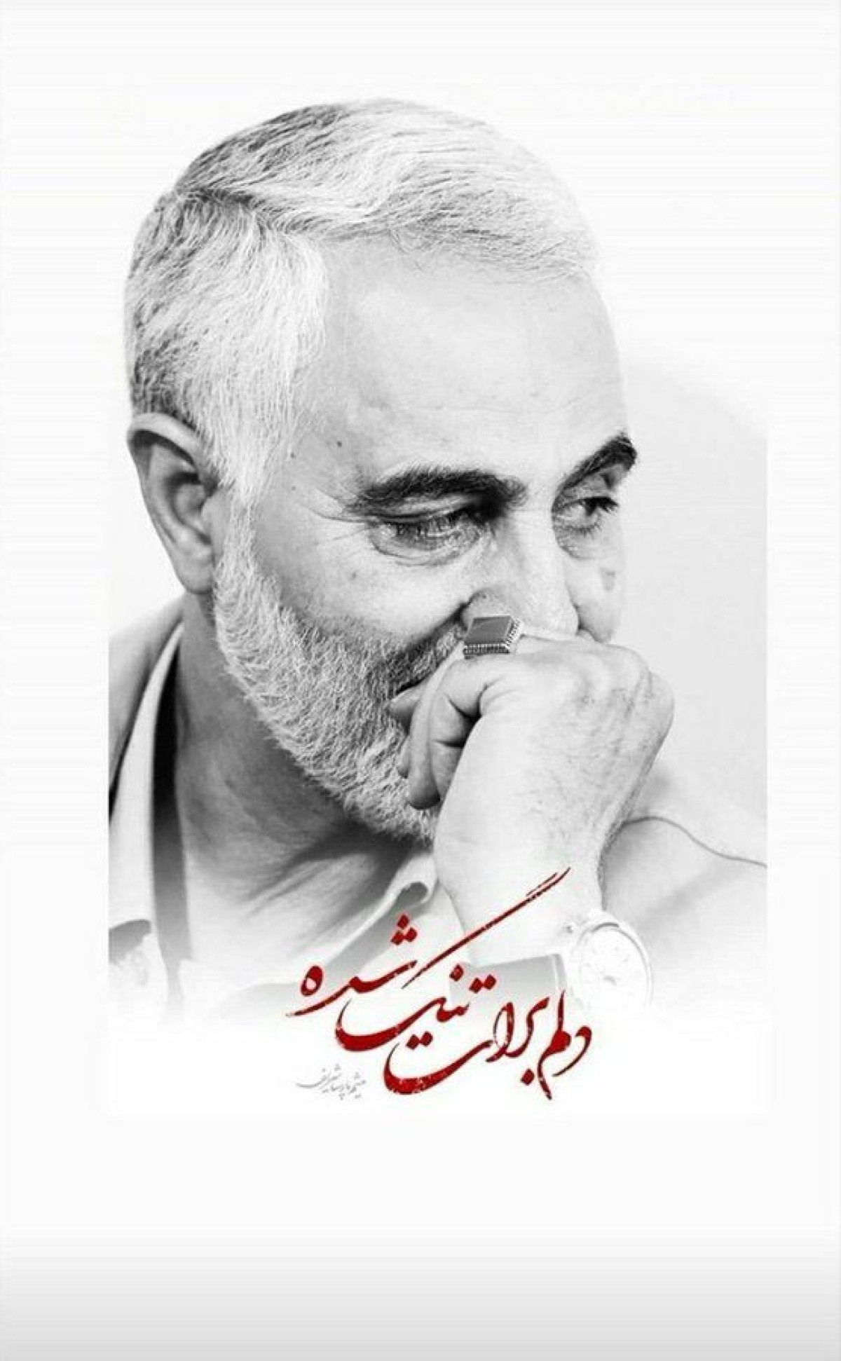 دلم برایت تنگ شده سردار دلها