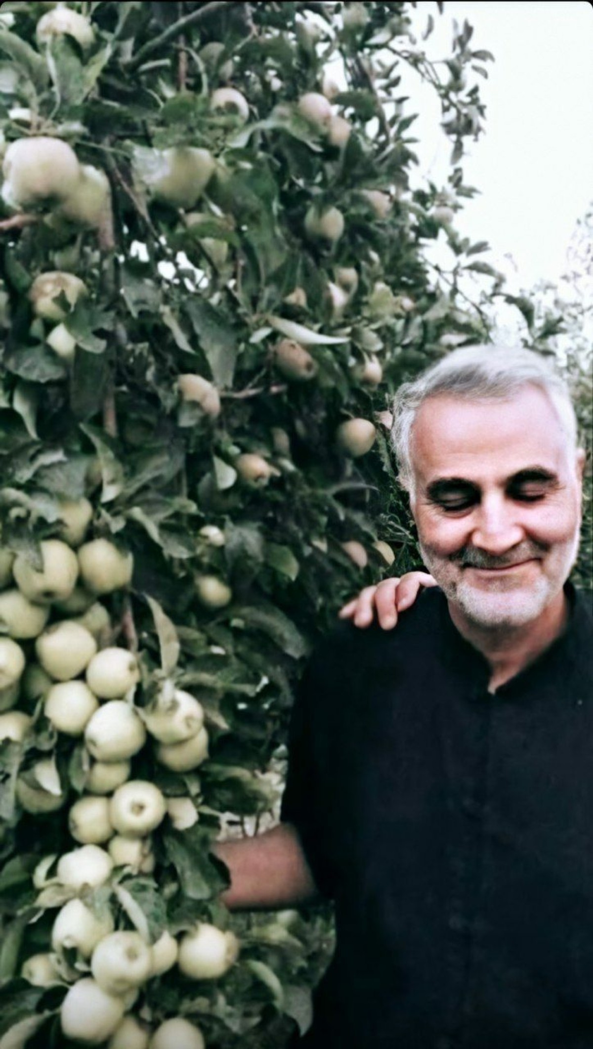 الجنرال قاسم سليماني -3