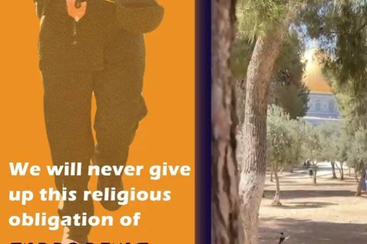 SUPPORTING PALESTINE