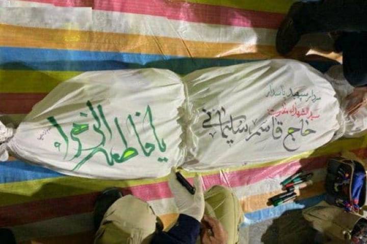 روايات القصيرة ” شجرة السرو “