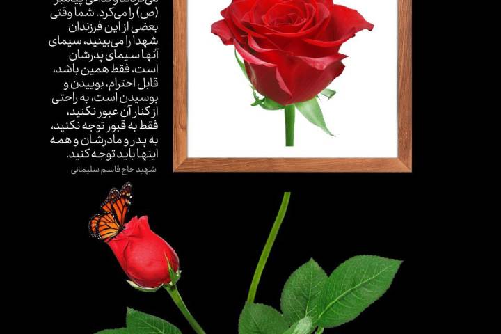 می‌کِشاند عاشقان را عطر فرزند شهید