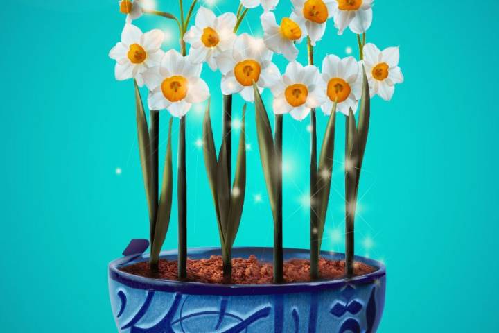 انقلاب اسلامی زمینه قیام حضرت مهدی (عج) است