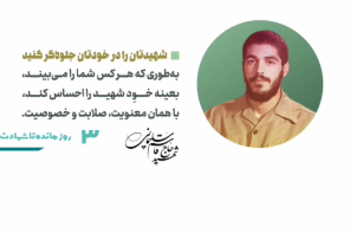 ۳ روز مانده به سالگرد شهادت سردار دلها