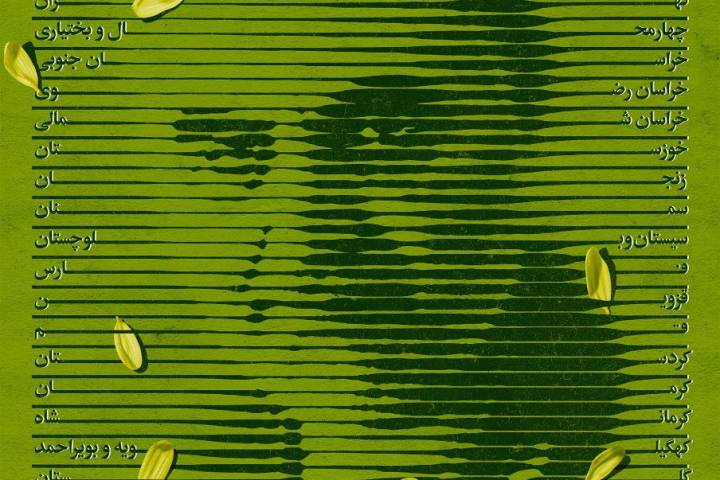 چشم به راه سردار