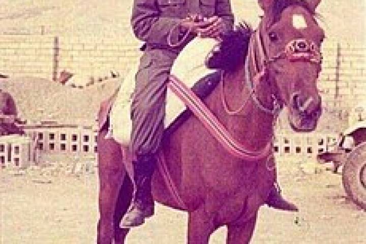 گله میش‌ها