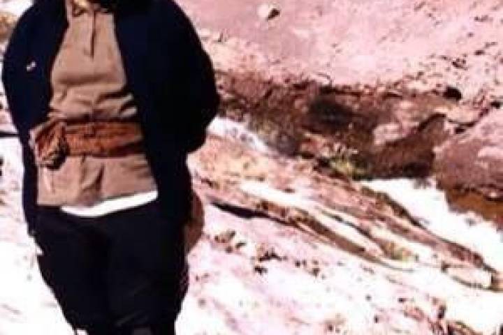 آدم که از انجام وظیفه خسته نمیشه…