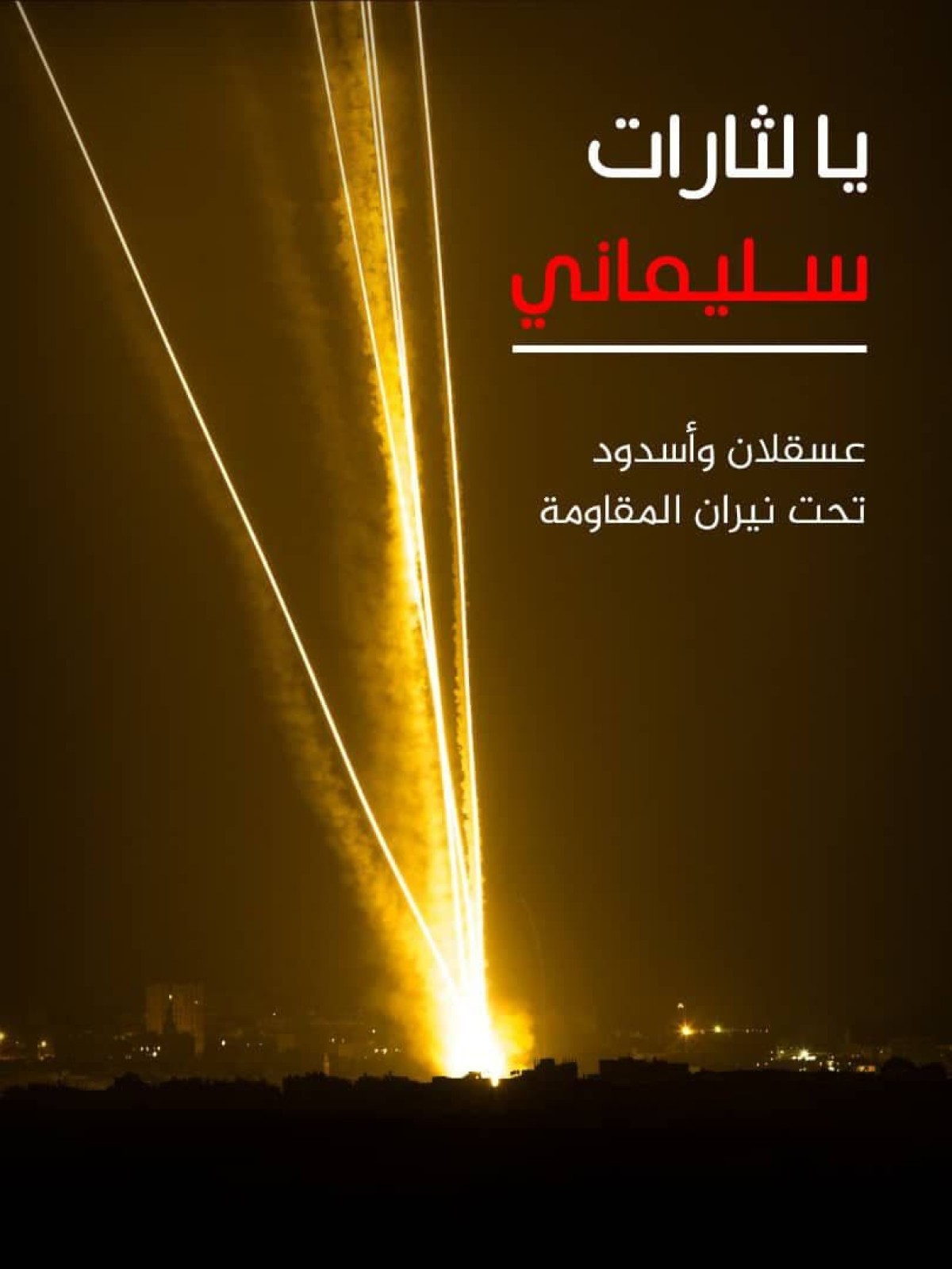 مجموعة بوسترات ” يا لثارات سليماني