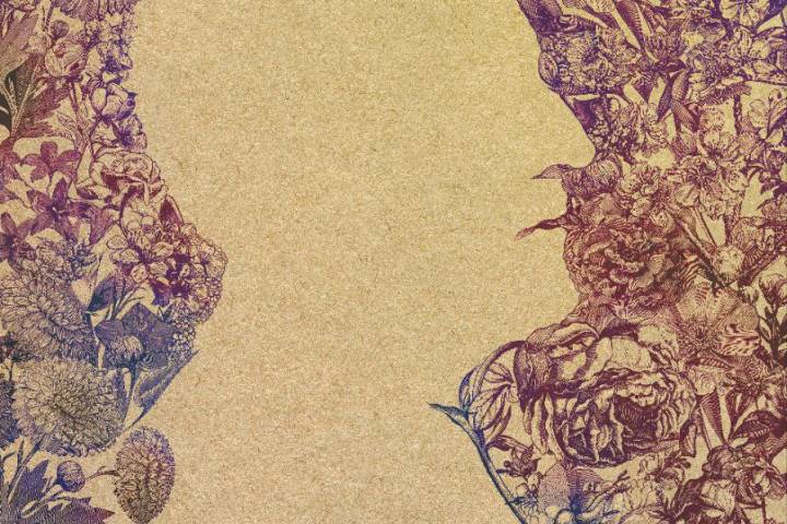 خالی‌ست جای سبز تو ای زاده ی بهار