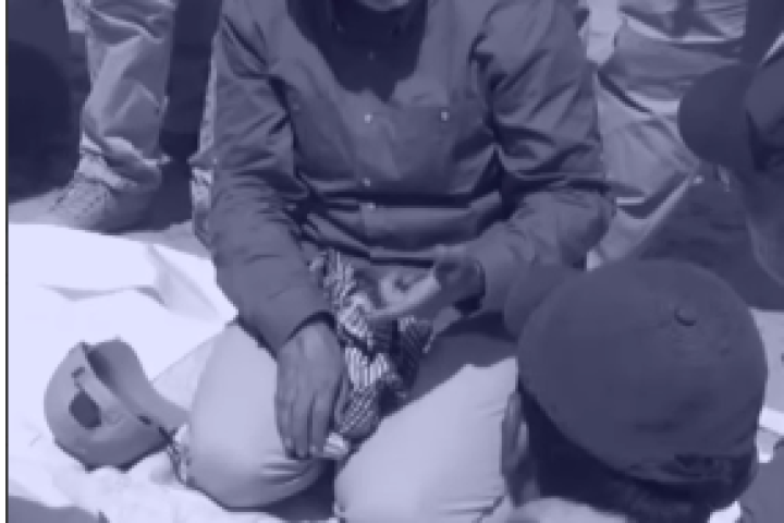 مسافر بودند به خاک دنیا