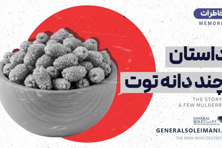 داستان چند دانه توت